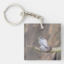 Search for peregrine falcon key rings Raptor