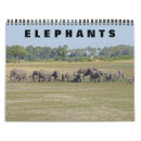 Search for elephant calendars Wildlife