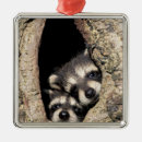 Search for hole in the christmas tree decorations Cute