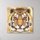 Search for tiger canvas prints Wall