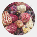 Search for maize stickers Corn