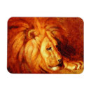 Search for lion portrait magnets Big cat