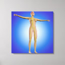 Search for female anatomy canvas prints Human limbs