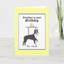 Search for boston terrier birthday Dogs