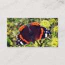Search for card discount discount cards Butterfly