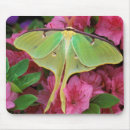 Search for nancy mousepads Close up