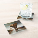 Search for african safari coasters Nature