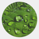 Search for drop leafs stickers Rain