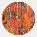 Search for larry stickers Landscape
