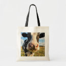 Search for holstein bags Grazing
