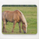 Search for new brunswick mousepads Michael defreitas