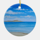 Search for maui christmas tree decorations Tropical