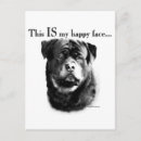 Search for rottweilers postcards Rottie