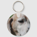 Search for beagle hound key rings Dogs