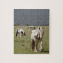 Search for clydesdale horses puzzles Animal