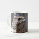 Search for falconer mugs Birds of prey