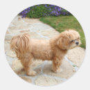 Search for red dog stickers Animal