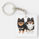 Search for spitz accessories Animals