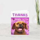 Search for puggles cards Cute