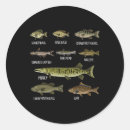 Search for freshwater fish stickers Humour
