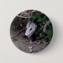Search for possum badges Animals