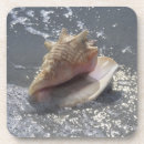 Search for sanibel coasters Beach