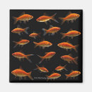 Search for topics home living Swimming