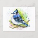 Search for tiny postcards Watercolor