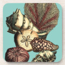 Search for turquoise coasters Seashell