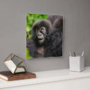 Search for rwanda art Animal