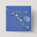 Search for geese badges Bird