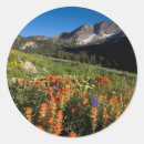 Search for uinta stickers Alpine