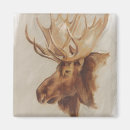 Search for study magnets Animal