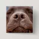 Search for noses badges Puppy