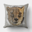 Search for wildlife cushions Lions