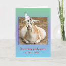 Search for pet goat postcards Funny