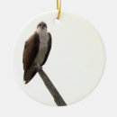 Search for osprey christmas tree decorations Birds