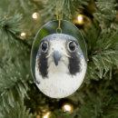 Search for hawk christmas tree decorations Raptor
