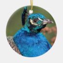 Search for peacock feather christmas tree decorations Bird