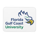 Search for university magnets Florida gulf coast eagles