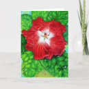 Search for hawaii christmas cards Hibiscus