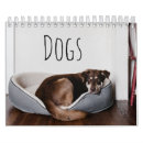 Search for corgis office supplies Pets