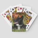 Search for bob and pam langrish Canine photographer