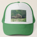 Search for rhinoceros hats Funny