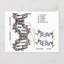 Search for acid postcards Dna