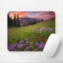 Search for aster flower mousepads Nature