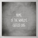 Search for quotes collage posters Typography