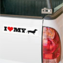 Search for hot dog bumper stickers Doxie