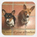 Search for basenji stickers Red