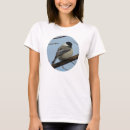 Search for chickadee tshirts Black capped chickadee